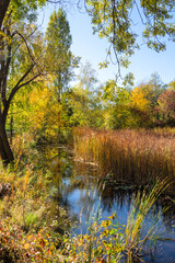 Obraz premium Autumn Landscape of South Park in city of Sofia, Bulgaria