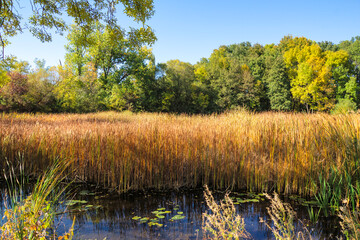 Autumn Landscape of South Park in city of Sofia, Bulgaria