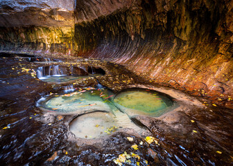 The Subway, Zion National Park