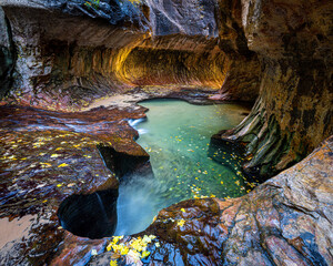 The Subway, Zion National Park