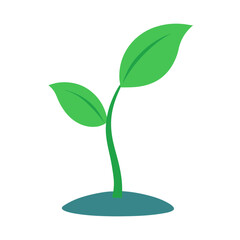 Simple green plant seedling illustration on black background