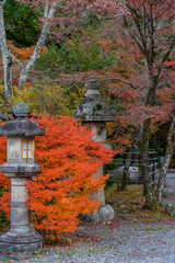 Kyoto in Japan