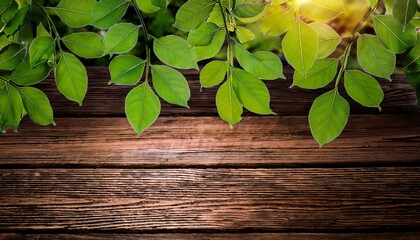 green leaves branch wooden table natural fresh plant nature background texture close up