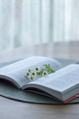 New Testament opened book in Russian language on a table with white flowers on it. Holly Bible.