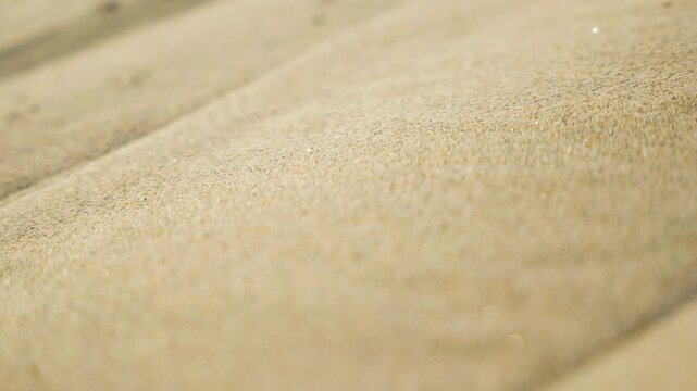 Close-up of fine sand slowly sliding down the slope of a dune. Captures natural texture, gravity, and desert stillness in soft lighting and minimalistic composition