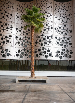 Marrakech Menara International Airport, Morocco: December 5 2025, Africa, flight, transport, terminal, passenger, air, control, check-in, airlines, arrivals, departures