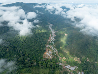 Aerial View of Terraced Fields and Mountain Road in Lush Green Hills
