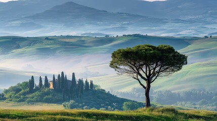 Scenic Tuscan Landscape with Lone Tree and Distant Village Under Misty Sky