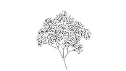 silhouette of a tree