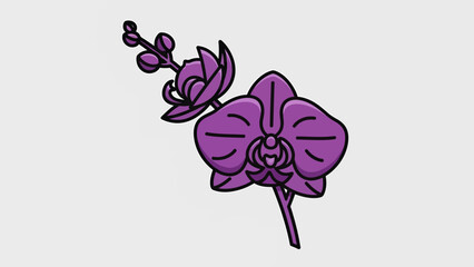 hand drawn orchid
