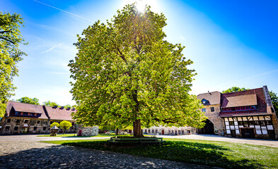 Obraz premium Kloster St. Burchardi 
