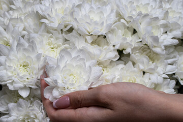 A large festive bouquet of white chrysanthemums