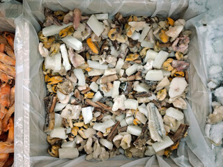 Frozen seafood in a supermarket refrigerator