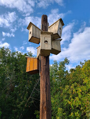 Six birdhouses on one pole