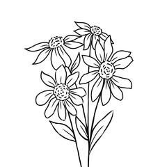 Simple illustration of a flower