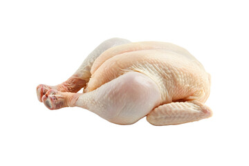 Raw fresh chicken clipping path on white background isolated