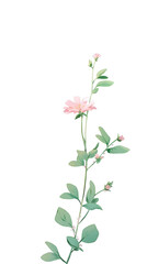A mobile phone wallpaper with an isolated pastel pink flower on the left side of the screen against a solid blue background The flower is delicate and