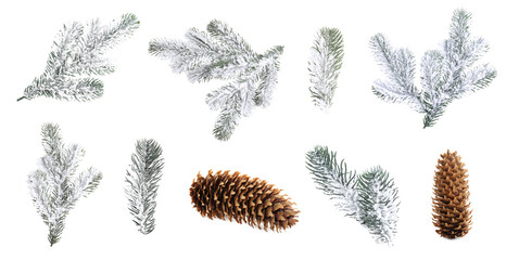 Fir tree branches and cones isolated on white, set © New Africa