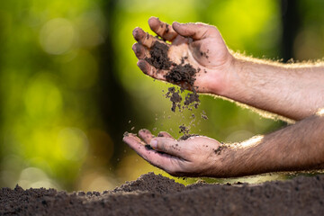 Soil and organic fertilizer concept. Farming with soil. Hand testing soil. Earth care and melioration. Cultivate land. Hands pouring soil. Examining earth and compost fertility.