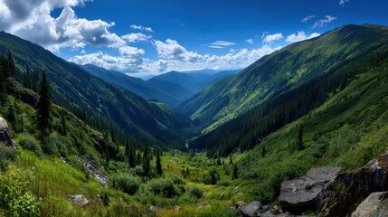 Obraz premium Lush Green Valley with Dense Forest Under Blue Sky and Fluffy White Clouds in Bright Daylight Scenic View