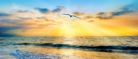 Inspirational Divine Ocean Bird Soaring Sunset Motivational Uplifting Ethereal Hope Spiritual Silhouette Header Banner