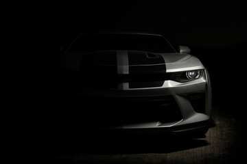 2017 6th gen Chevy Camaro Fine Art Portrait silver with black stripes