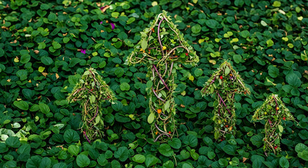 Green Arrows Made of Leaves Growing Upwards on a Lush Foliage Background.