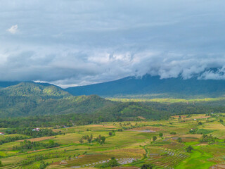 Obraz premium Beautiful morning view indonesia Panorama Landscape paddy fields with beauty color and sky natural light