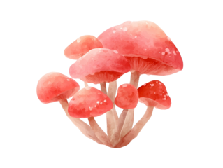 Cute watercolor clipart of a small red woodland mushroom cluster soft neutral palette matte watercolor texture minimal shadows flat watercolor look gentle rounded shapes handpainted te