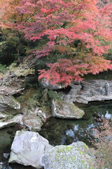 深耶馬溪　秋の山国川