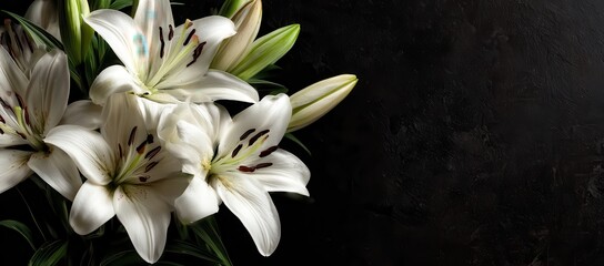 Vibrant photo of Elegant white lilies bouquet on a dark textured background with copy space