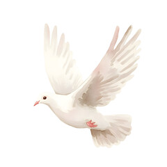 Fototapeta premium cute minimal watercolor clipart of a white dove with wings spread peaceful expression bible clipart minimal shadows flat watercolor look soft pastel tones clean shapes handpainted tex