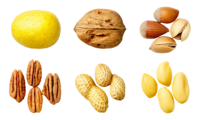 Fresh Autumn Harvest of Various Nuts and Seeds Isolated on White Background