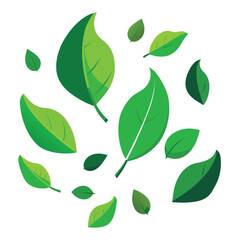 Collection of vibrant green leaves with intricate details, showcasing nature's beauty and freshness for organic and eco-friendly themes.