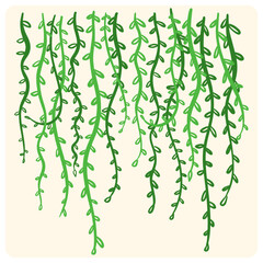 Hand-Drawn Hanging Green Vine and Ivy Illustration