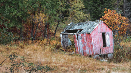 Abandoned red wooden shed in autumn forest landscape