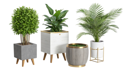 Four Potted Plants in Different Containers on Wooden Stands with Green Foliage and Gray Pot