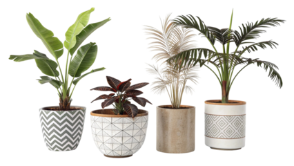 Four Potted Plants with Different Patterns and Colors in a Row Green Leaves patterned pots