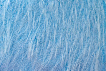 Obraz premium blue plush fabric texture background, pattern of soft warm material