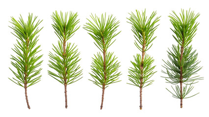 Six Green Pine Trees with Brown Trunks on a Pixelated Background