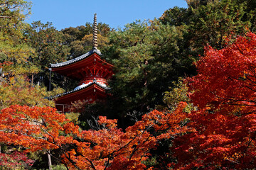 Obraz premium 多宝塔 