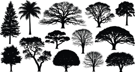 Tree silhouette vector set, diverse deciduous and coniferous trees including oak, pine, and palm, isolated natural forest and garden graphics, different foliage seasons. © MDASIKUL