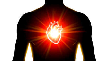Glowing human heart inside chest silhouette symbolizing life, energy, health, vitality, emotion, and cardiovascular strength.


