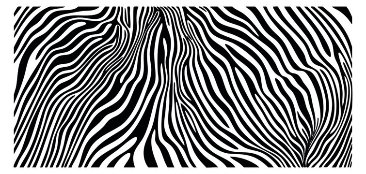 Black and white zebra pattern collection with stripes minimalist flat vector
