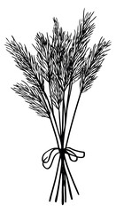 Fototapeta premium Simple wheat stalks bunch with bow hand drawn outline illustration