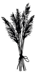 Fototapeta premium Hand drawn wheat bouquet sketch vector illustration