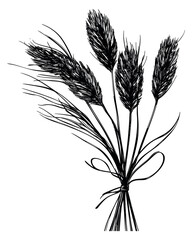 Fototapeta premium Hand drawn wheat bouquet illustration