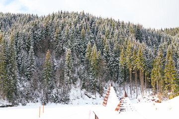 Majestic coniferous forest stands covered in blanket of fresh white snow, creating serene winter scene. Snow-covered roof is partially visible in the foreground. Dense coniferous forest
