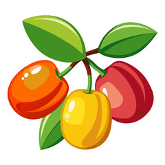 ziziphus jujube fruit with leaves