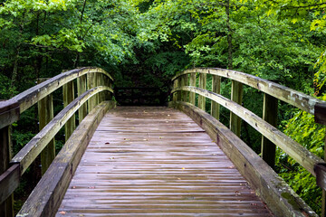 A wooden footbridge extends straight into a dark, dense, and lush green forest, offering a strong leading line perspective. Symbolizes path, journey, gateway, and the great outdoors.